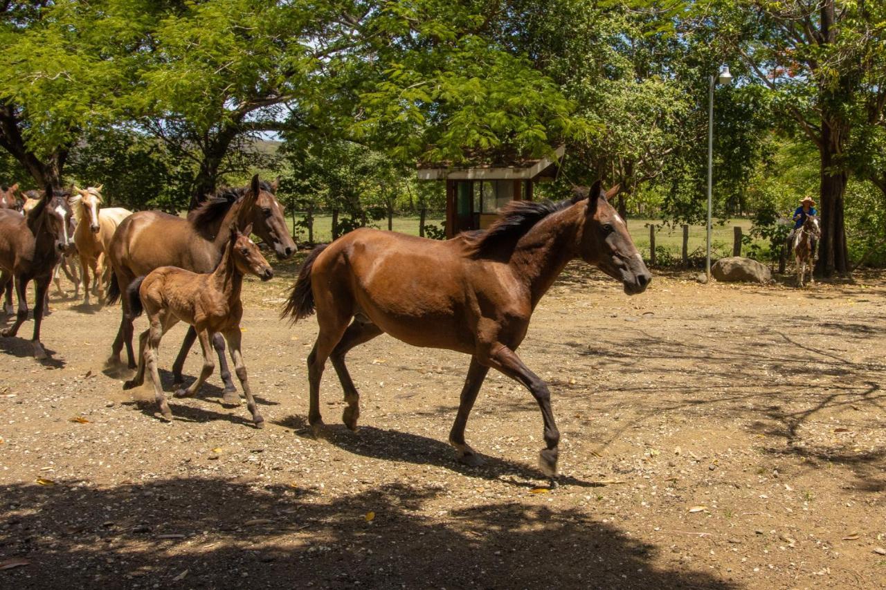 Rancho Humo Estancia Puerto Humo  Exterior photo